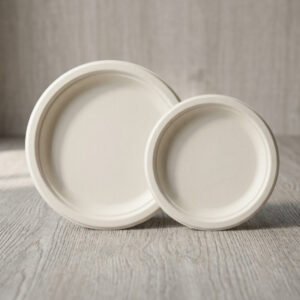 Bagasse Plates